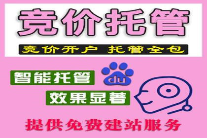 百度优化推广案例研究：如何提高网站转化率